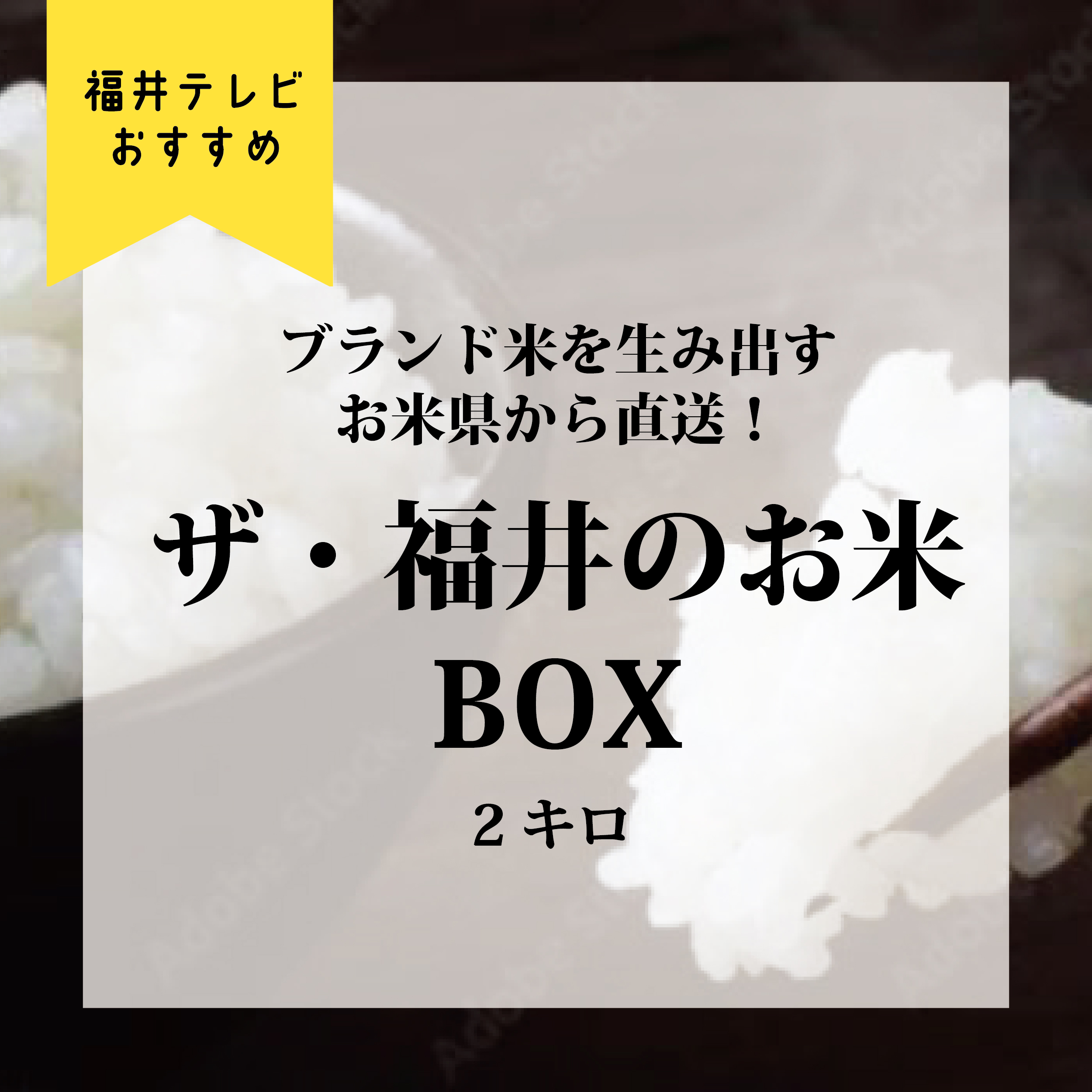 ブランド米を生み出すお米県から直送！ザ・福井のお米BOX